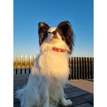 Load image into Gallery viewer, Flower Field Vegan leather - Matching Set