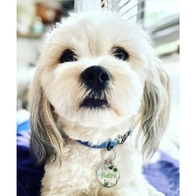 Load image into Gallery viewer, Lucky Charm Matching Set