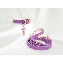 Load image into Gallery viewer, Flower Field Vegan leather - Matching Set