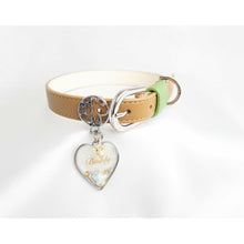 Load image into Gallery viewer, Forest Vegan Leather Collar (Tri-Colour)