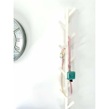 Load image into Gallery viewer, Sweet Dream Collar