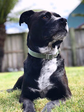 Load image into Gallery viewer, Hemp & Cotton Fabric Collar (Forest Green)