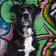 Load image into Gallery viewer, Hemp & Cotton Fabric Collar (Forest Green)